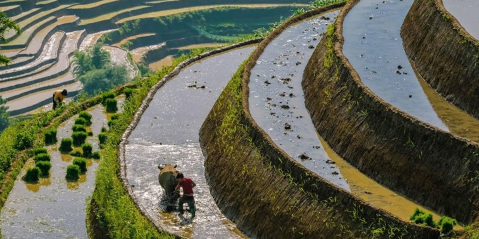 Le Trek d'Immersion au Village