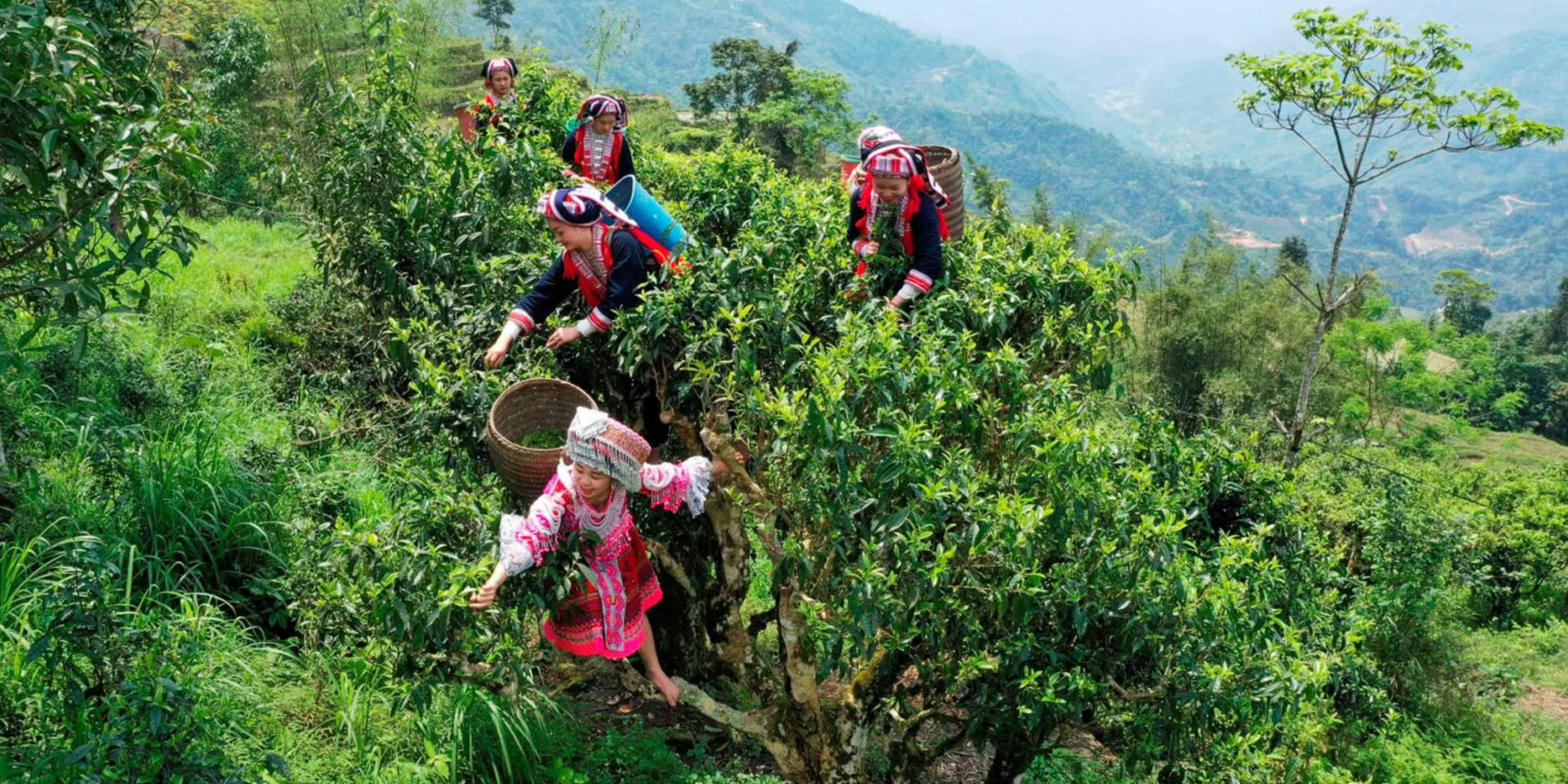 Le Trek d'Immersion au Village