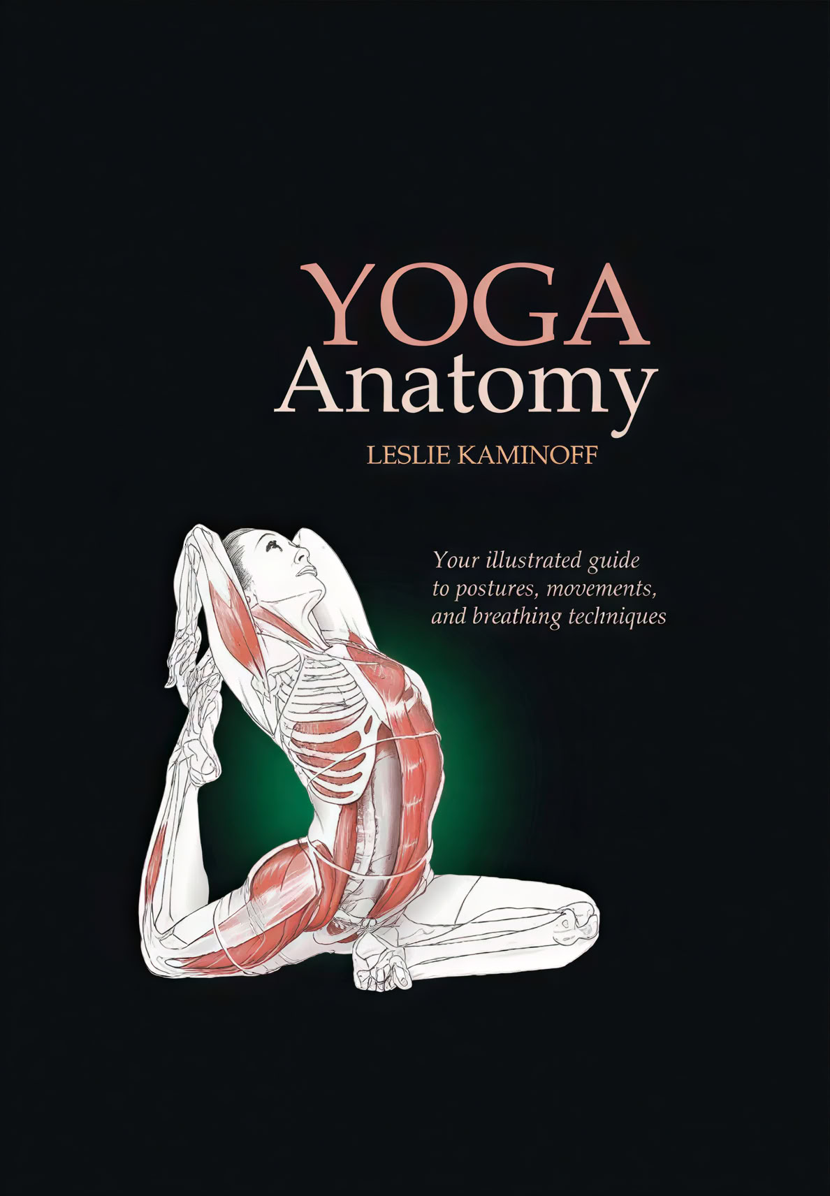 Formation de professeur de yoga de 100 heures pour débutants à Rishikesh, en Inde