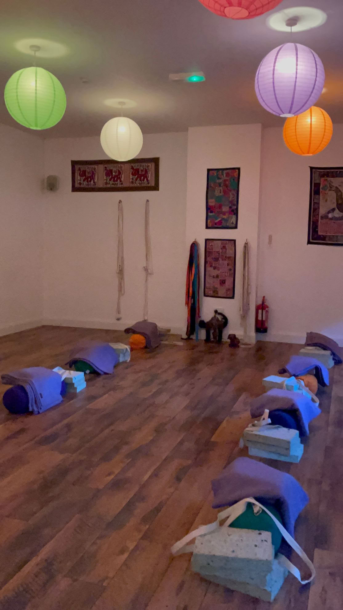 Iyengar Yoga Niveau 1/2