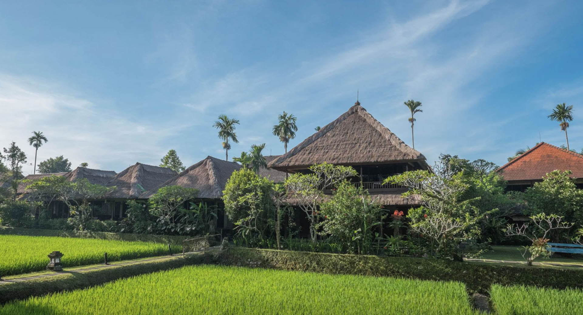 Bliss Out In Bali 2026 Retraite