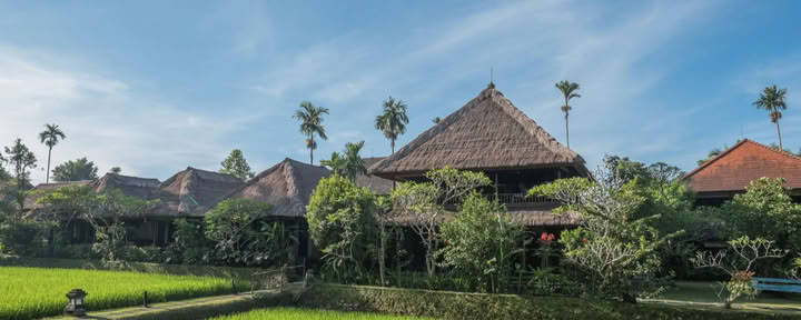 Bliss Out In Bali 2026 Retraite