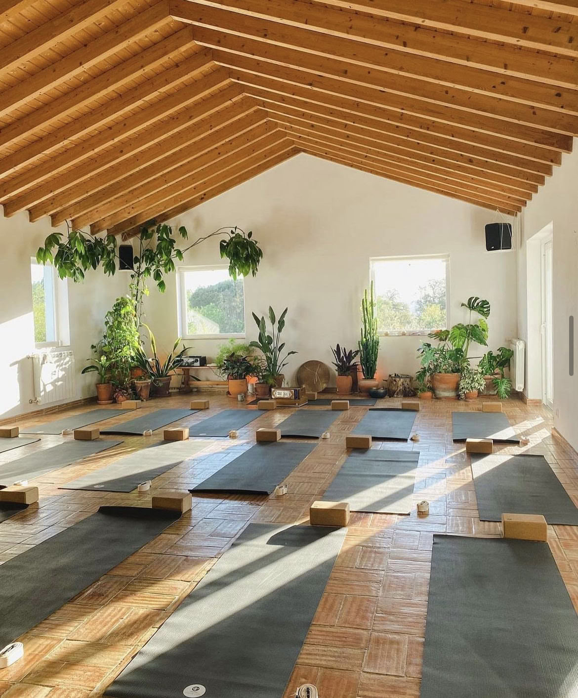 Retraite de yoga Reconnexion au Portugal