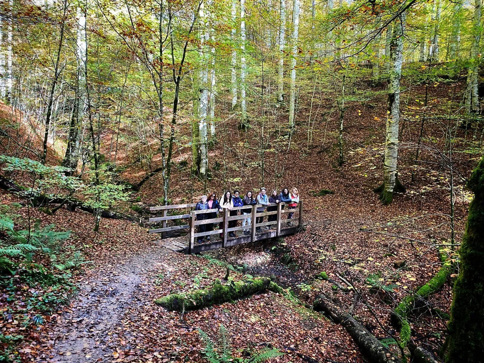 Retraite de yoga du Nouvel An : un départ en pleine conscience dans les Pyrénées
