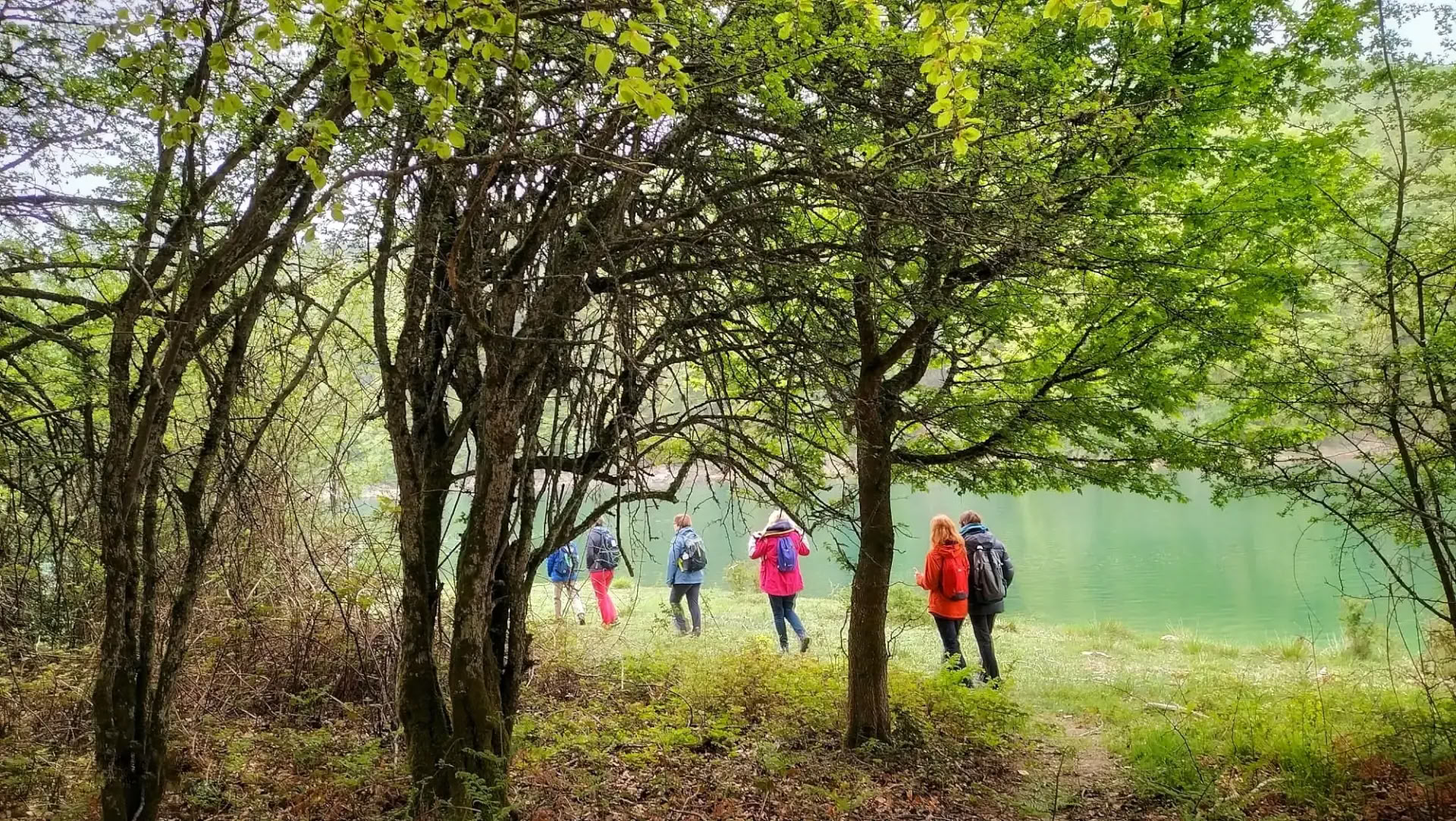 Sanctuaire de yoga et de méditation : une retraite cocooning dans la forêt d’Irati