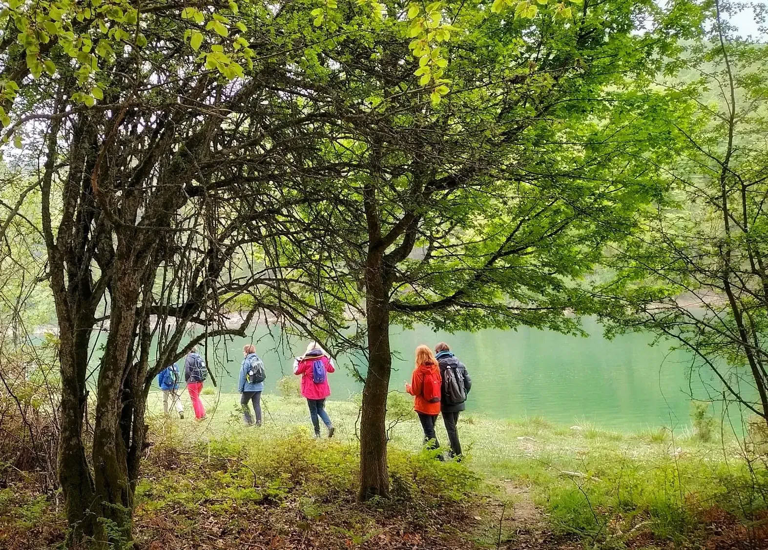 Retraite de yoga d’octobre : l’expérience de la forêt dorée