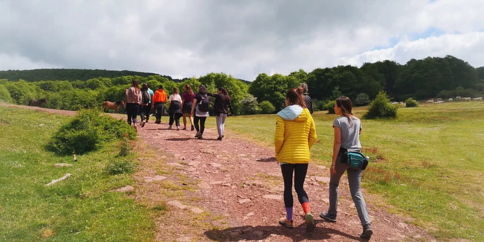 Retraite de yoga et de nature : immersion dans la forêt dorée