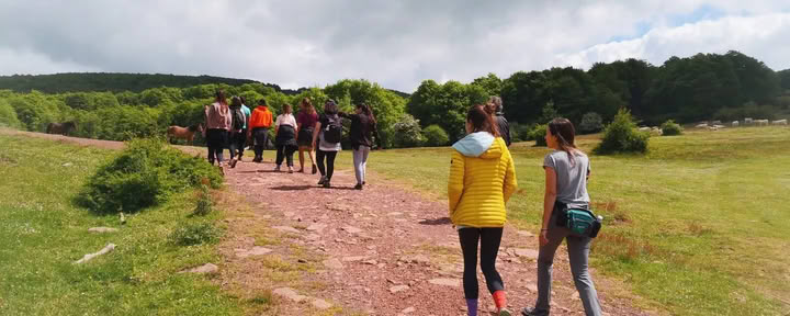 Retraite de yoga et de nature : immersion dans la forêt dorée