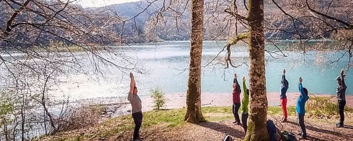 Retraite de yoga d’octobre en profondeur : repos et racines
