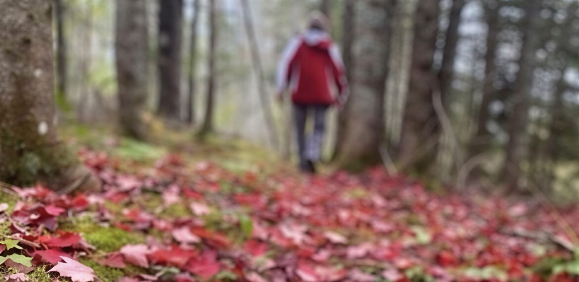 Recentrer votre attention : une retraite de photographie en pleine conscience