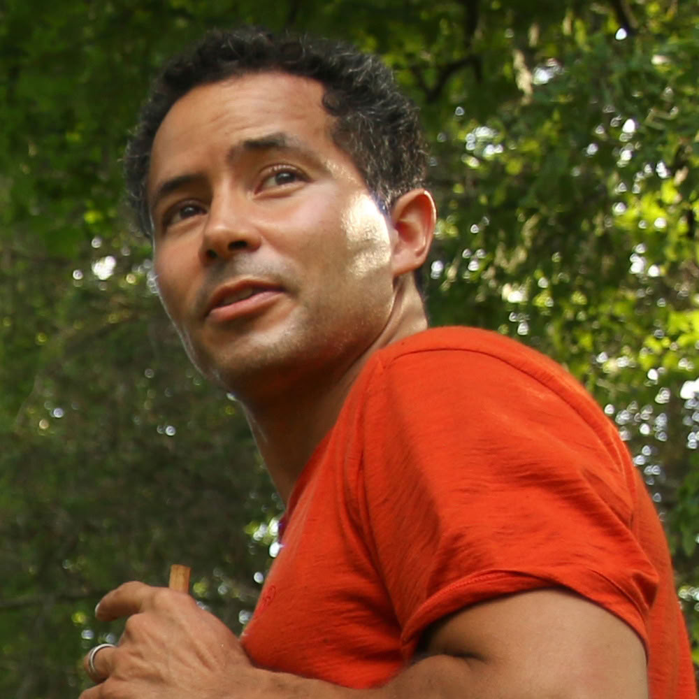 Bain de forêt