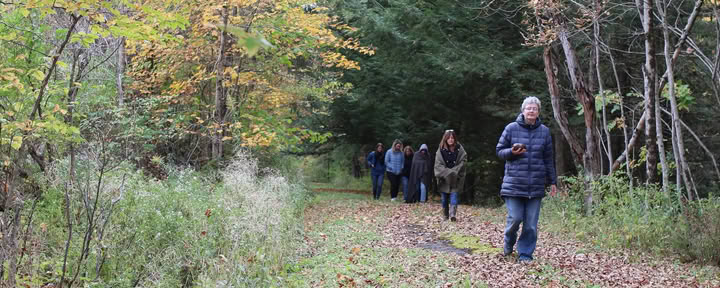 Bain de forêt