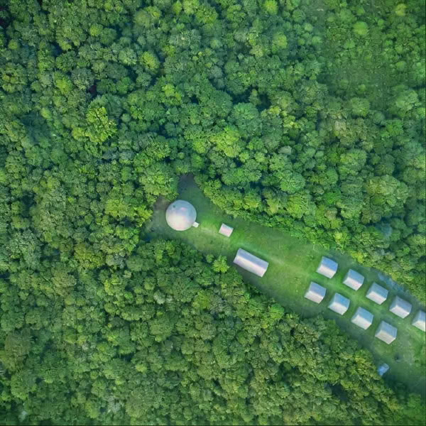 Immersion à l’ayahuasca