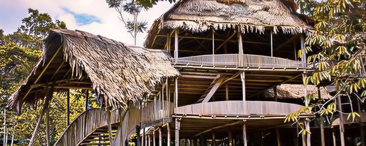 Retraite d'ayahuasca de 9 jours