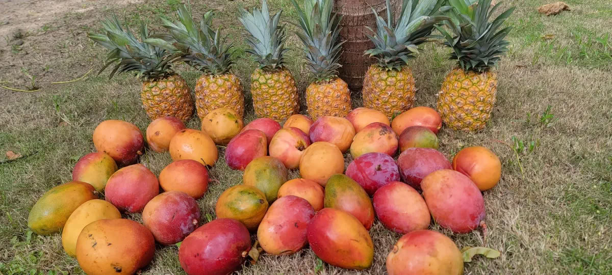 Retraite bien-être Retour au paradis
