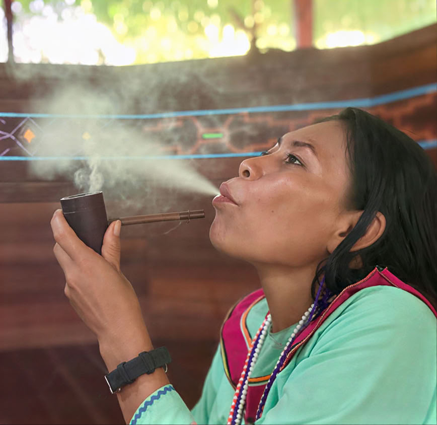 Introduction de 5 jours à l’ayahuasca et à la médecine des plantes amazoniennes