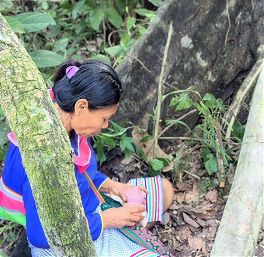 Introduction de 5 jours à l’ayahuasca et à la médecine des plantes amazoniennes