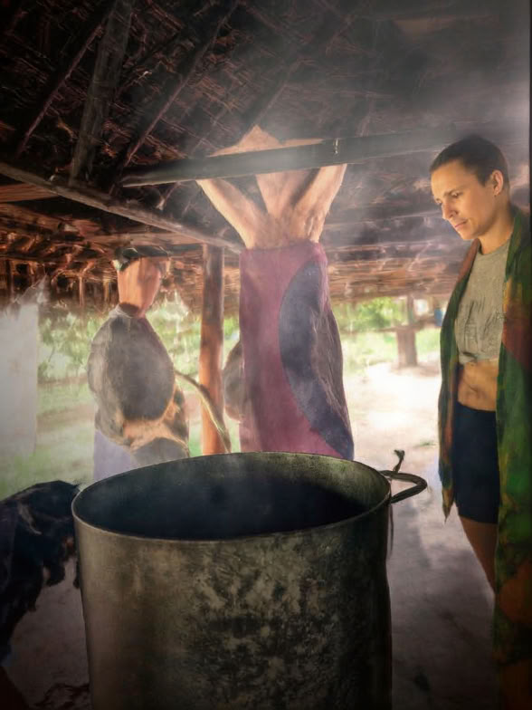 Introduction de 5 jours à l’ayahuasca et à la médecine des plantes amazoniennes