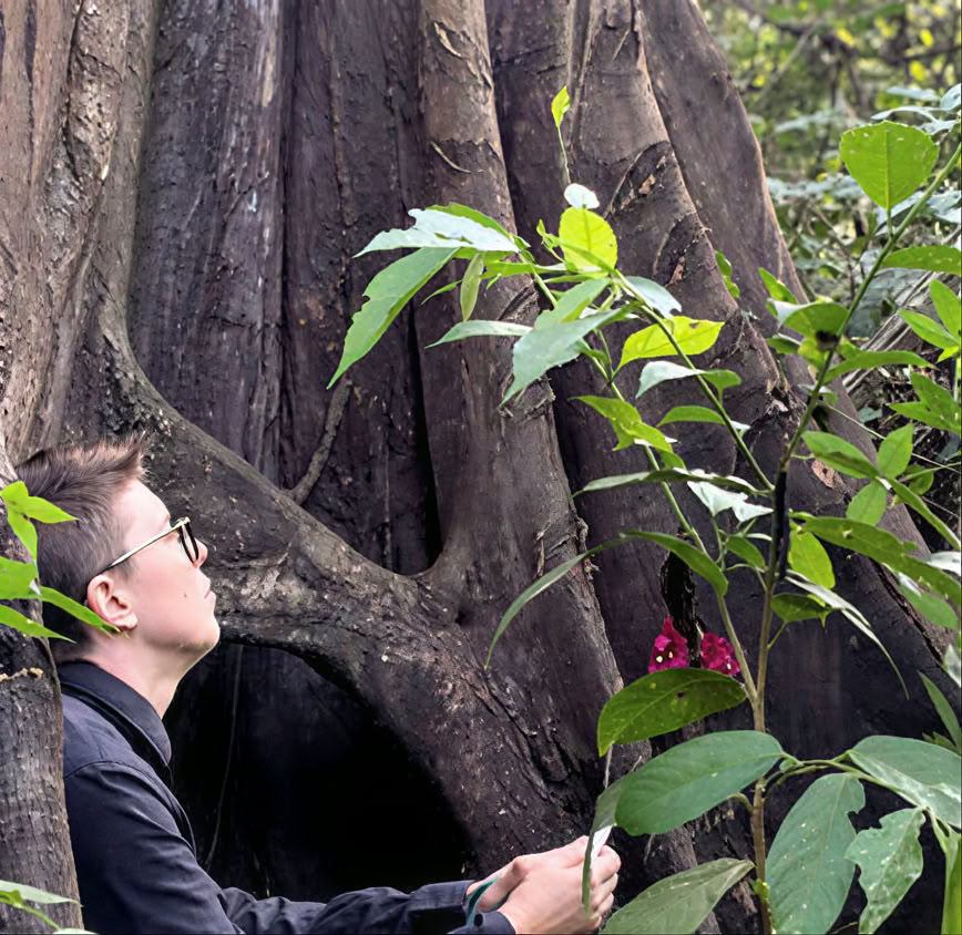 Introduction de 5 jours à l’ayahuasca et à la médecine des plantes amazoniennes