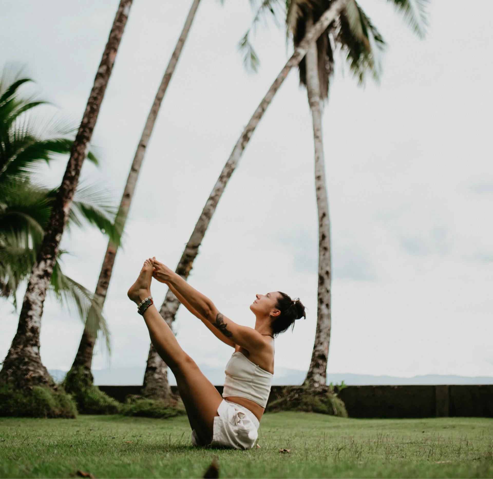 Ateliers d'ayahuasca