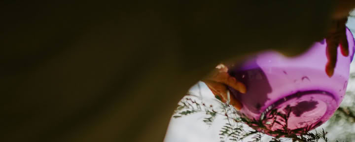 Ateliers d’Ayahuasca - 8 jours