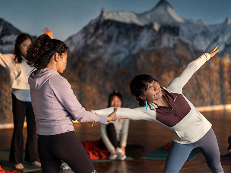 Programme de yoga pour la vie