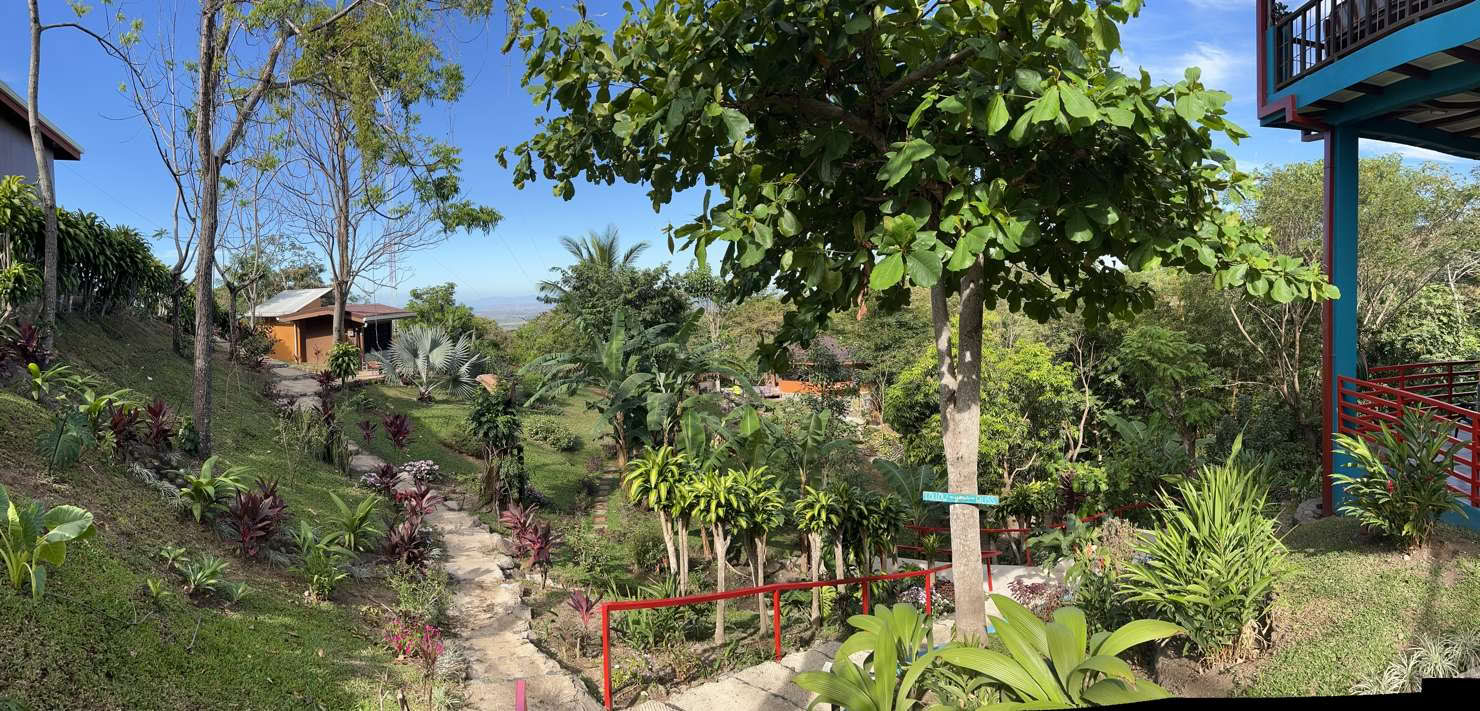 Retraite spirituelle d’ayahuasca au Costa Rica