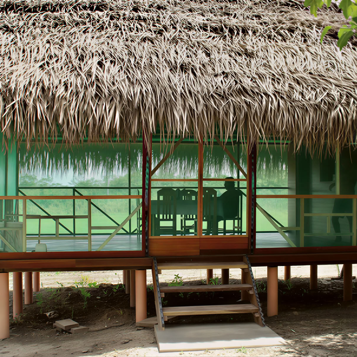 Retraite d’ayahuasca d’une semaine au Pérou