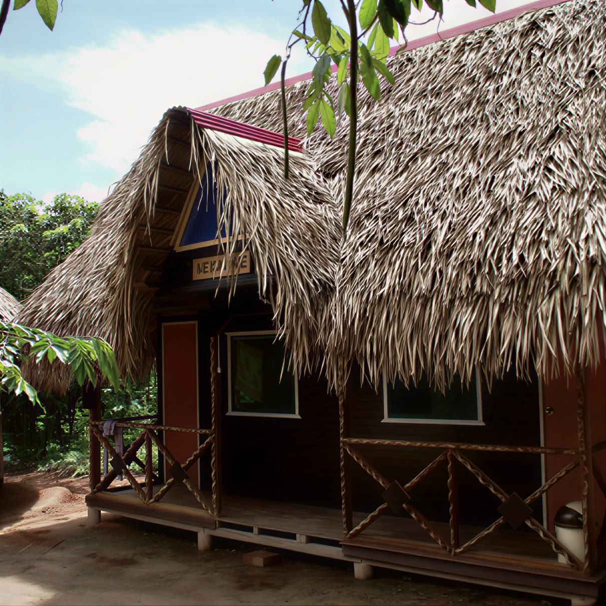 Retraite d’ayahuasca d’une semaine au Pérou