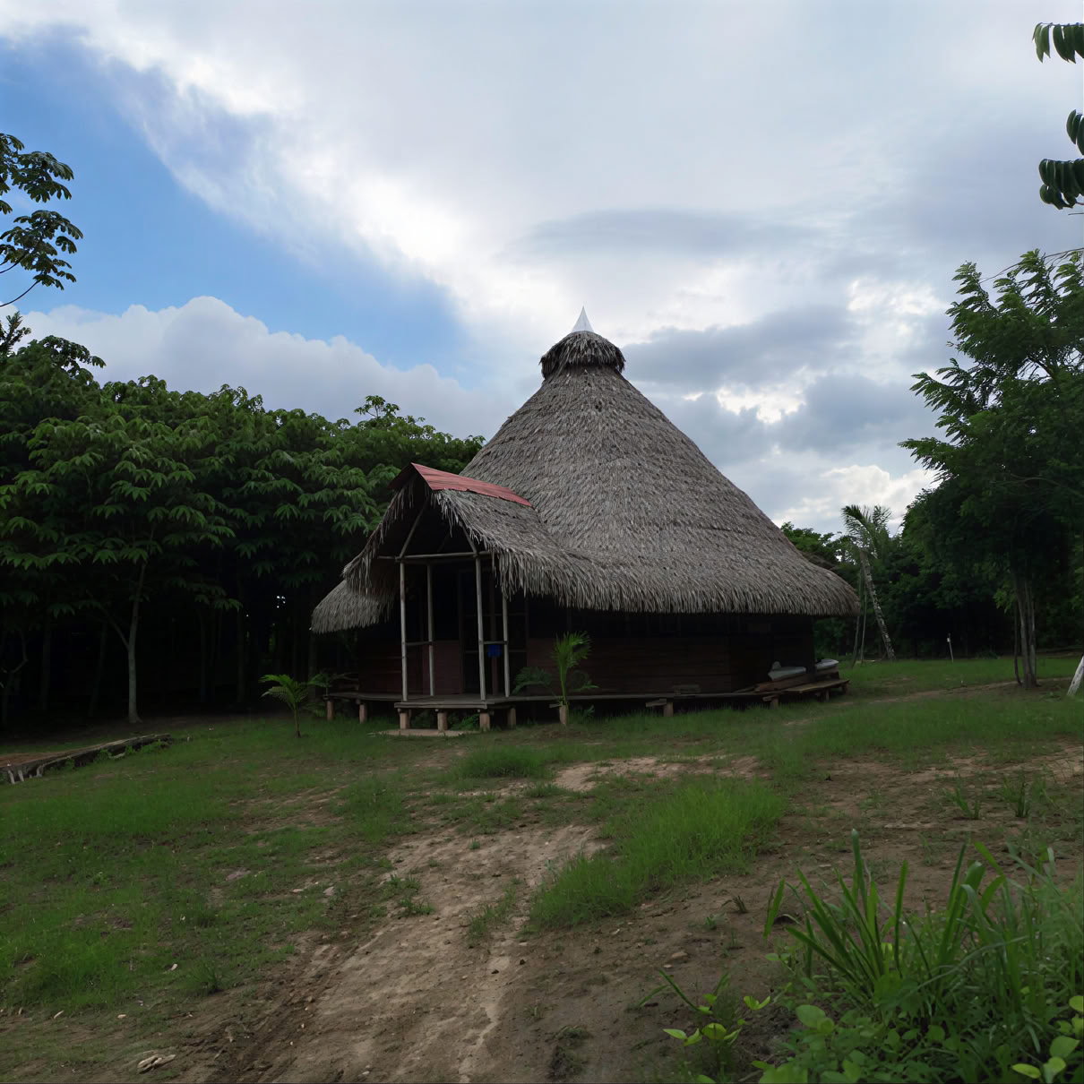 Retraite d'ayahuasca de 3 semaines au Pérou