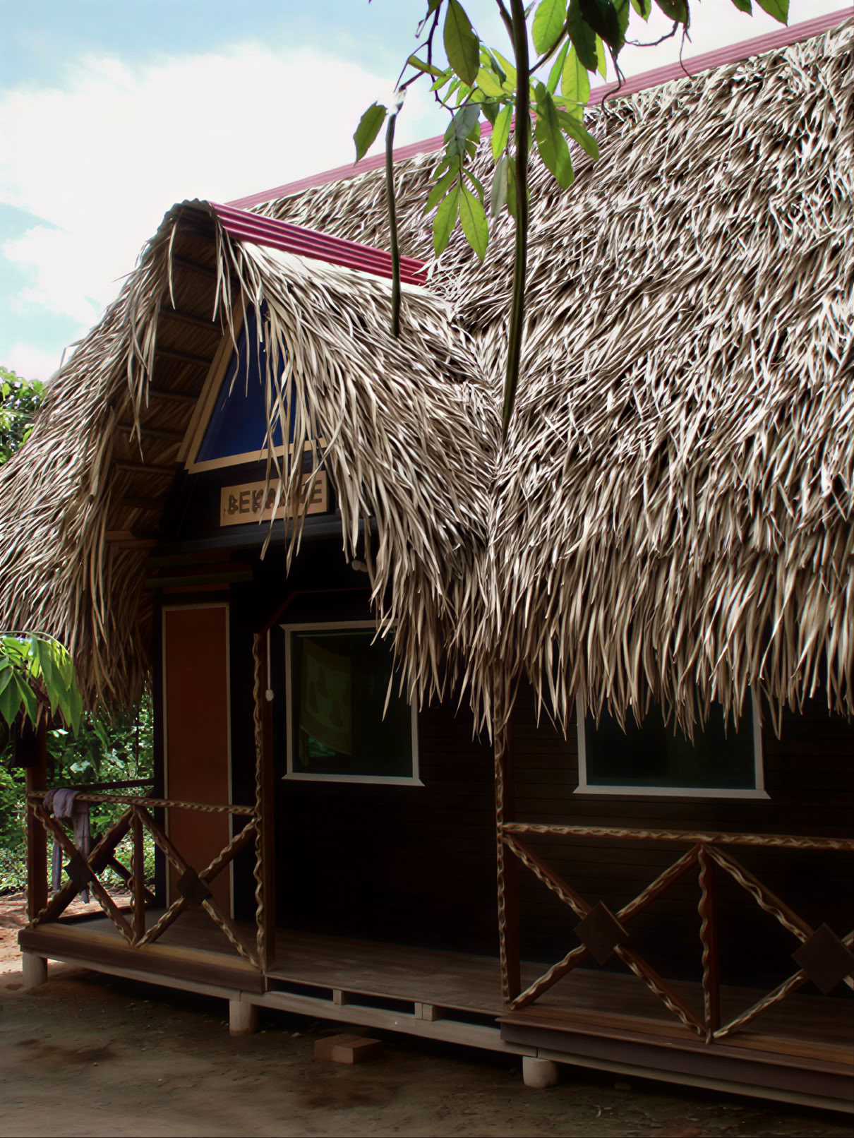 Transformation à l'ayahuasca en 3 semaines