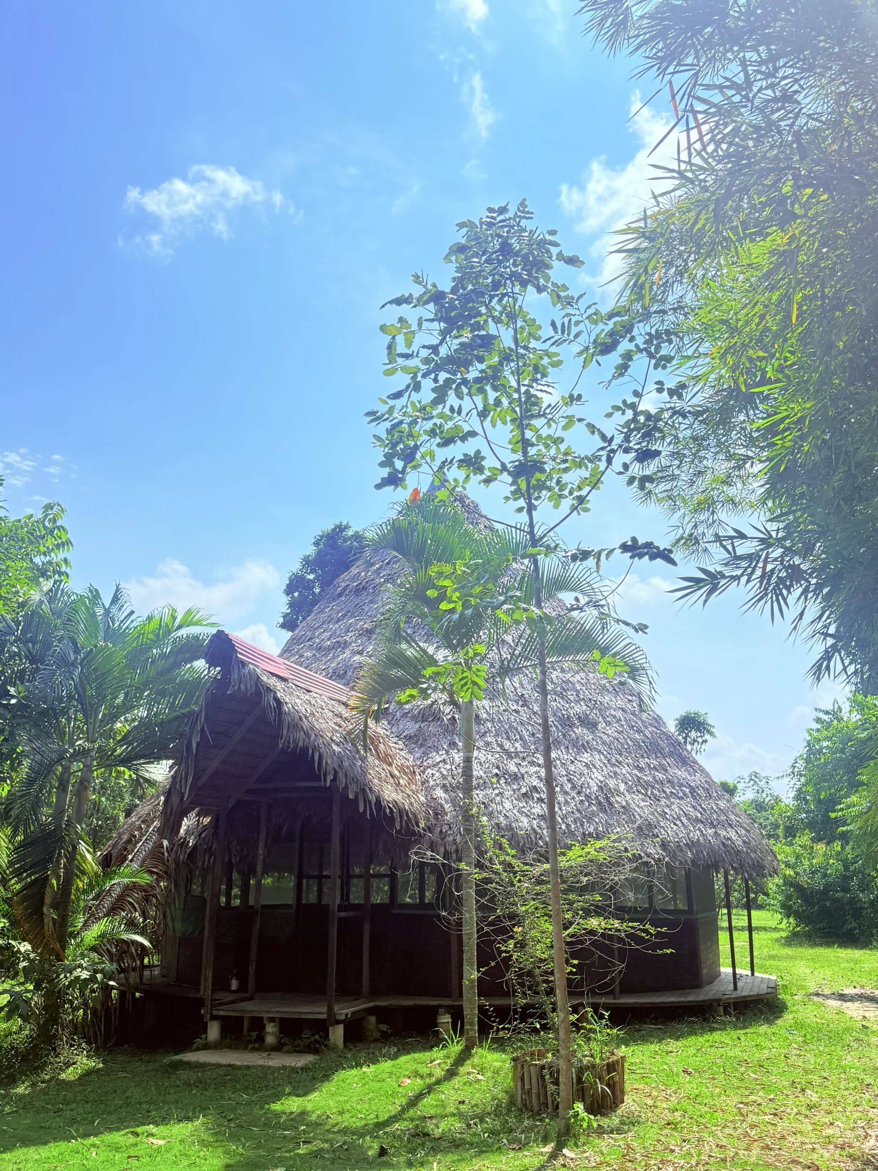 Transformation à l'ayahuasca en 3 semaines