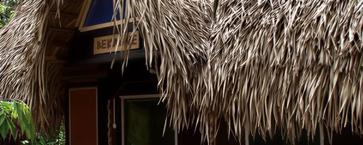 1 semaine de transformation à l’ayahuasca