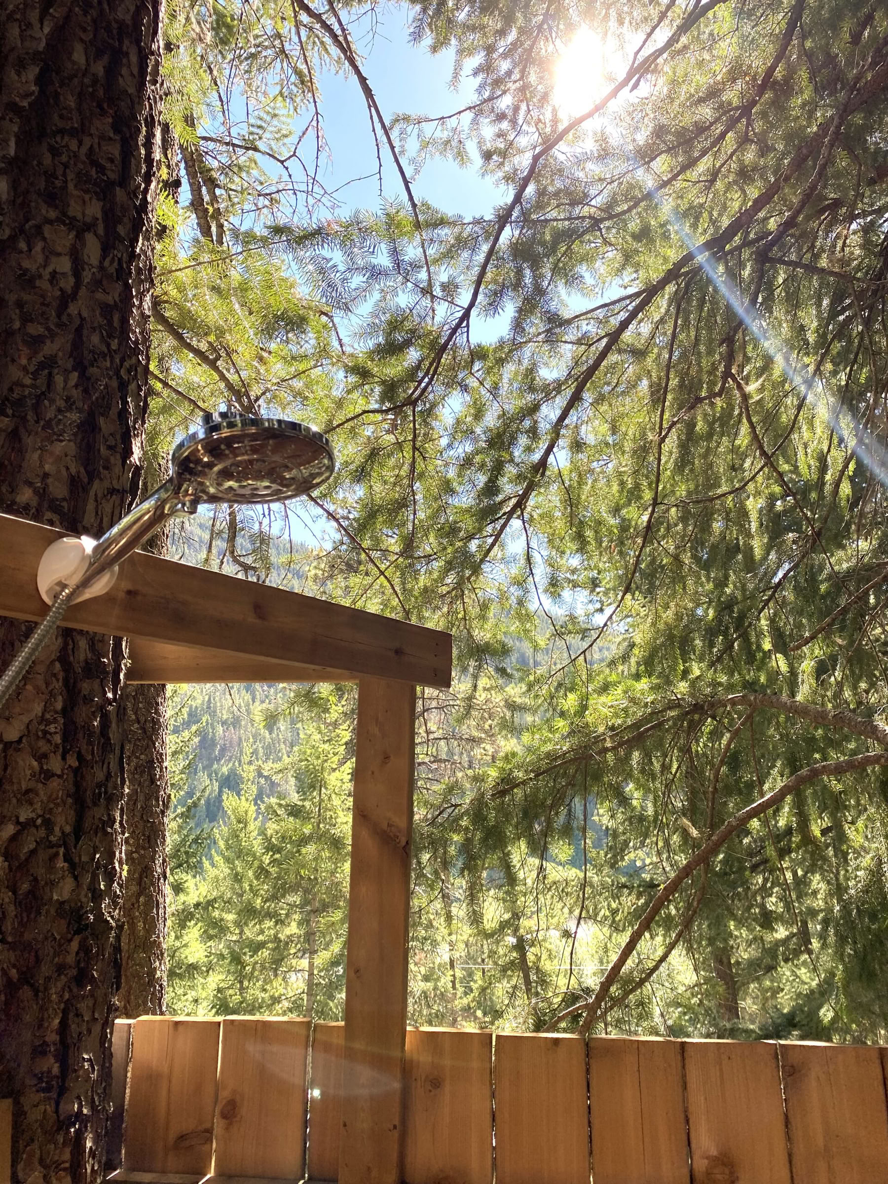 Pèlerinage du cœur sauvage