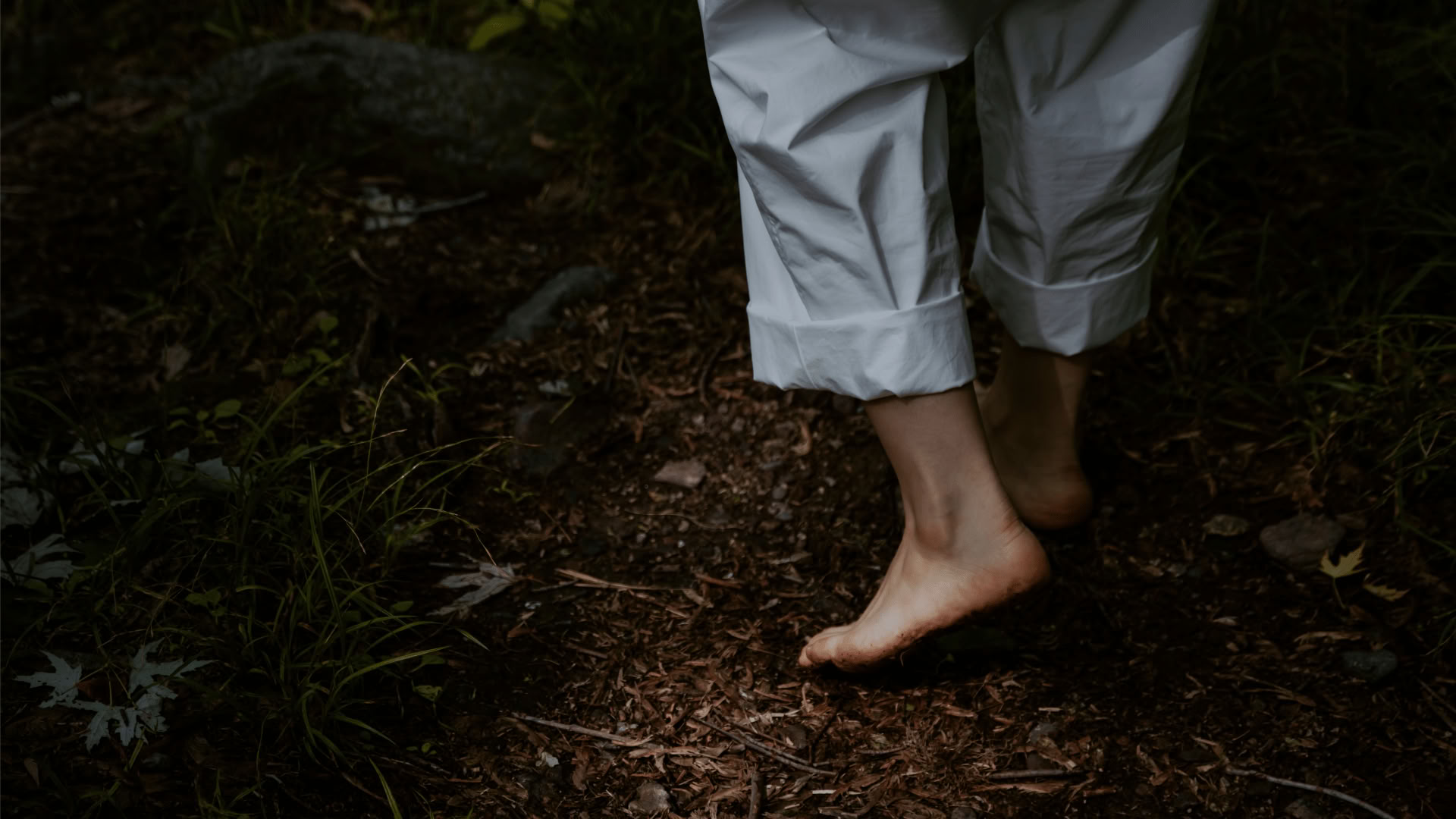 Enraciné dans la nature