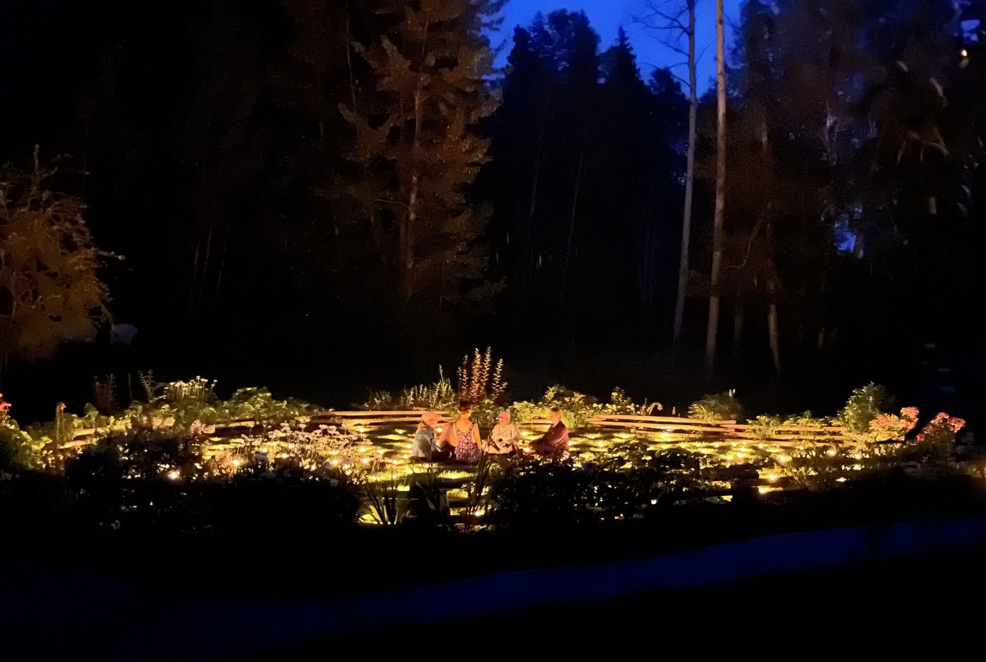 Éveillé dans la nature sauvage