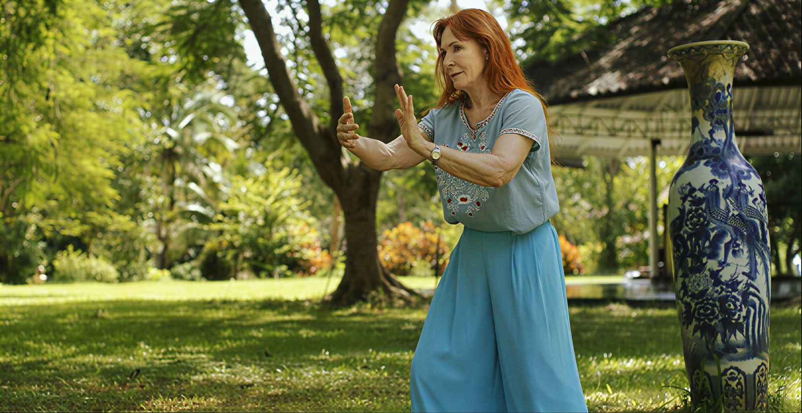Série de Qigong Alchimie Intérieure Tao Garden 2026