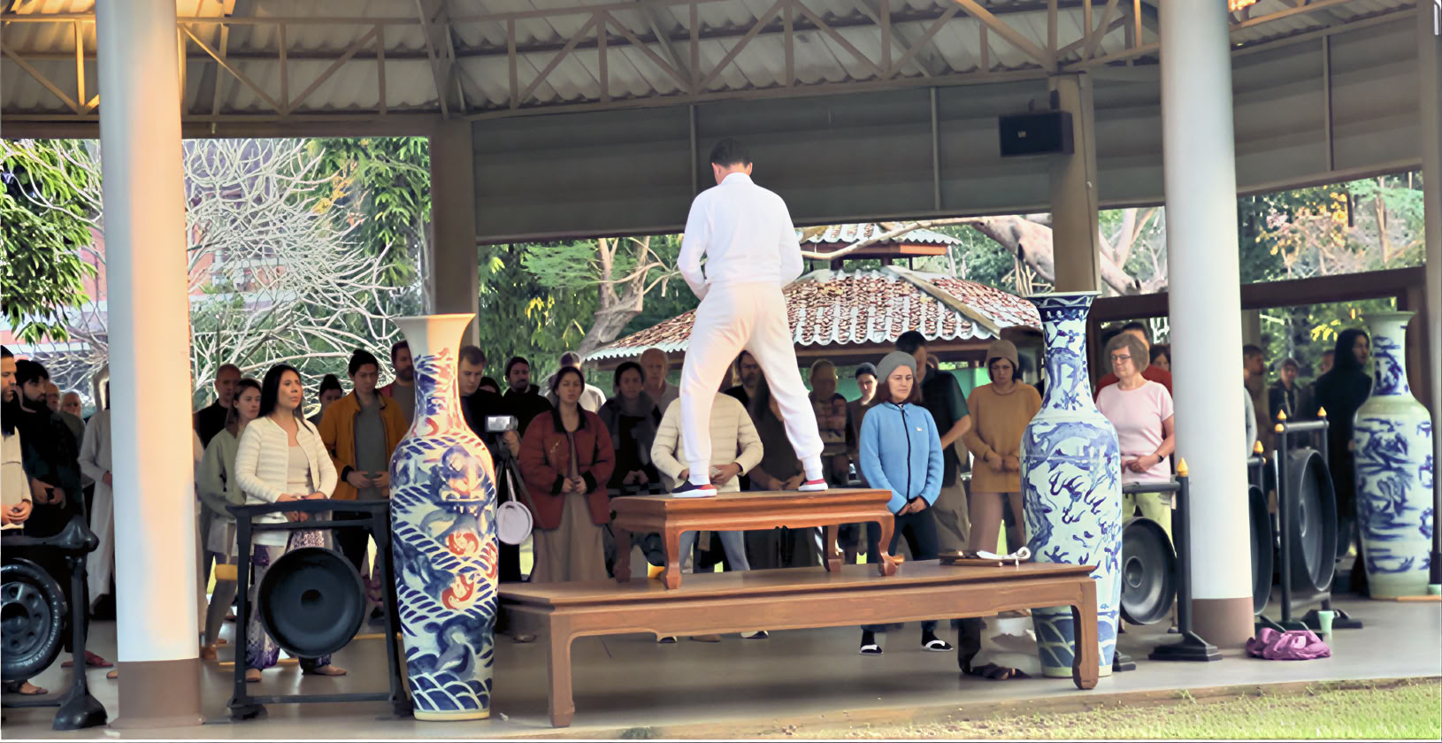 Série de Qigong Alchimie Intérieure Tao Garden 2026