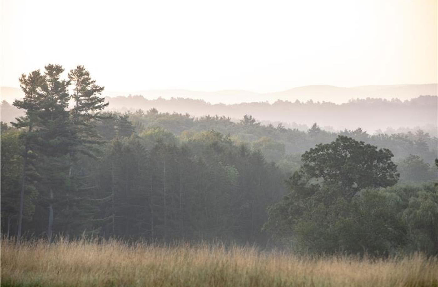 RISE : l’approche Kripalu de la résilience