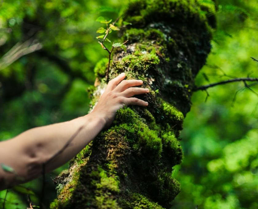 La terre est un remède