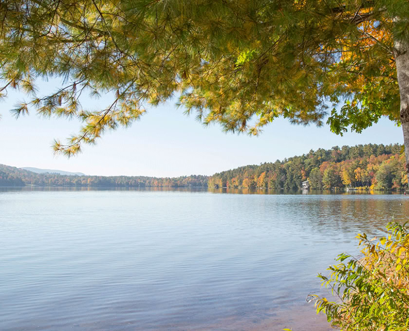 Certification d’accompagnateur en pleine conscience en plein air, niveau 1, communauté forestière
