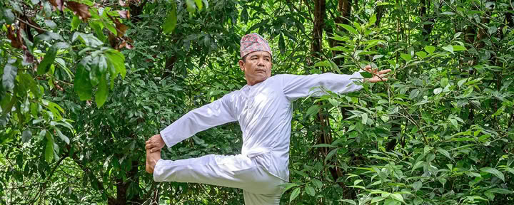 Formation complète de 30 jours en Ayurveda Panchakarma et thérapie de yoga