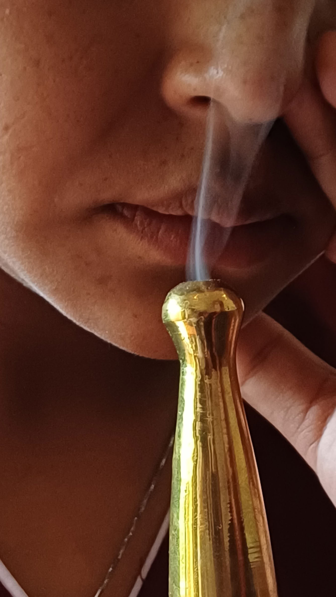 20 nuits 21 jours retraite de rajeunissement Panchakarma रसायन