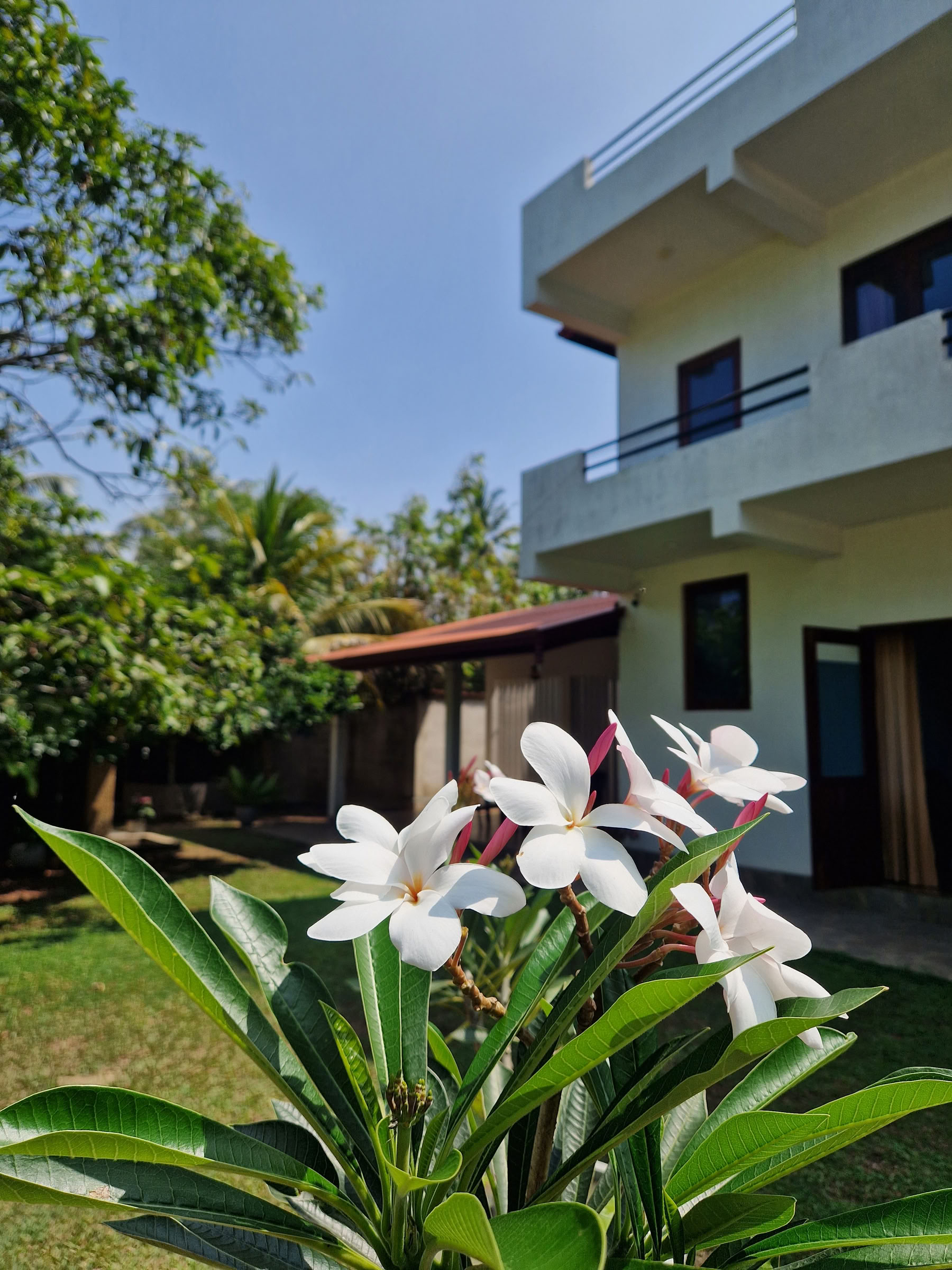 Retraite de 7 jours pour réinitialiser le système nerveux, yoga et méditation, Sri Lanka