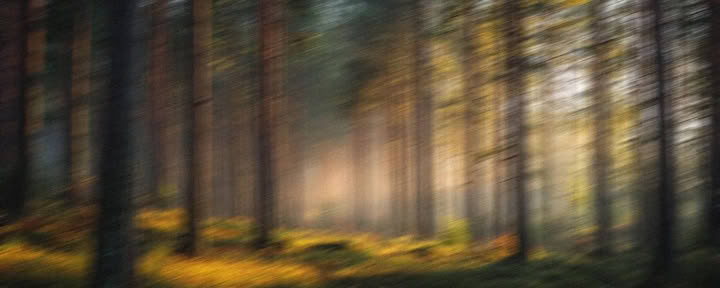 Retraite de leadership de 5 nuits pour le burn-out