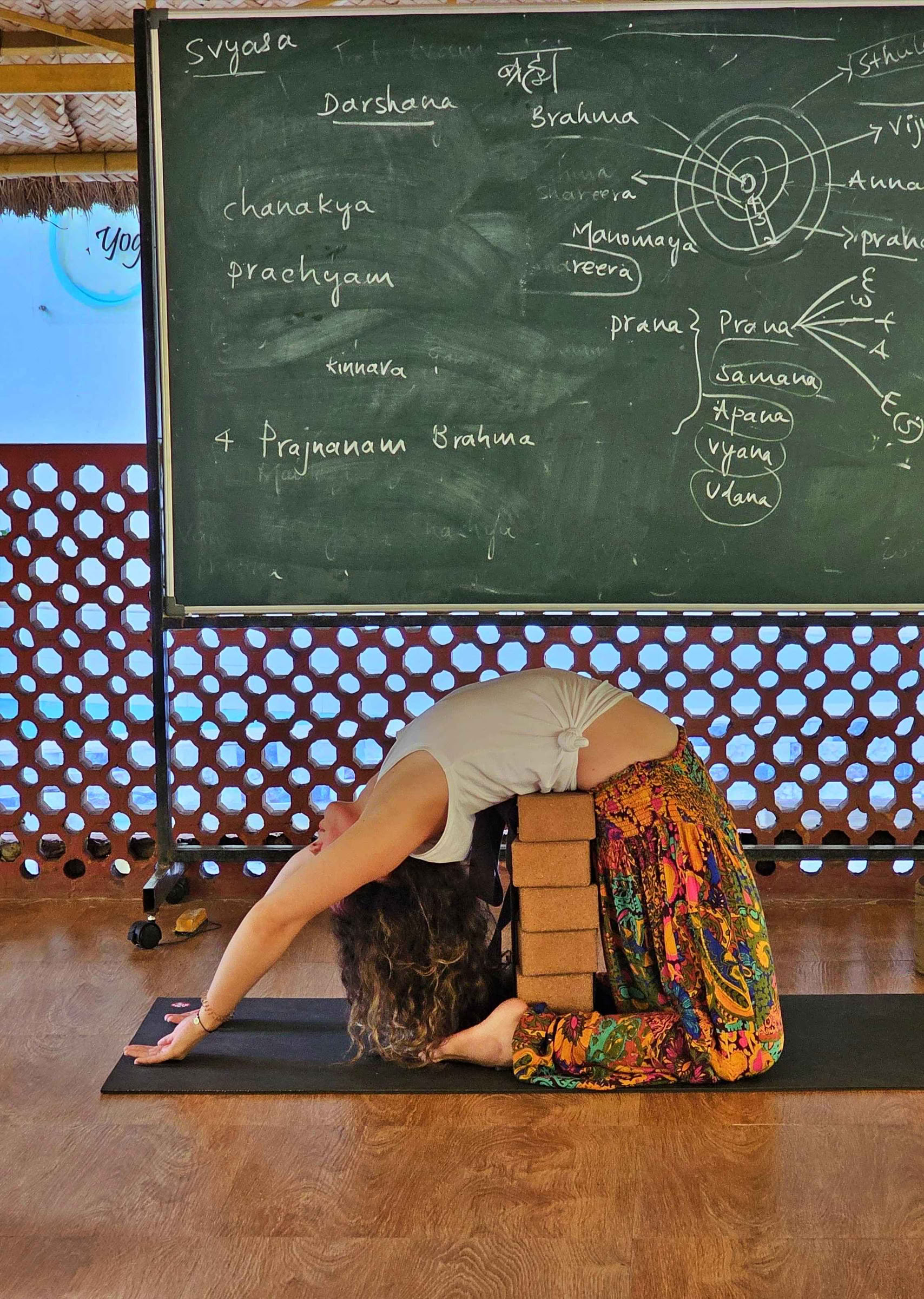 Formation avancée de professeur de yoga de 300 heures - août 2026