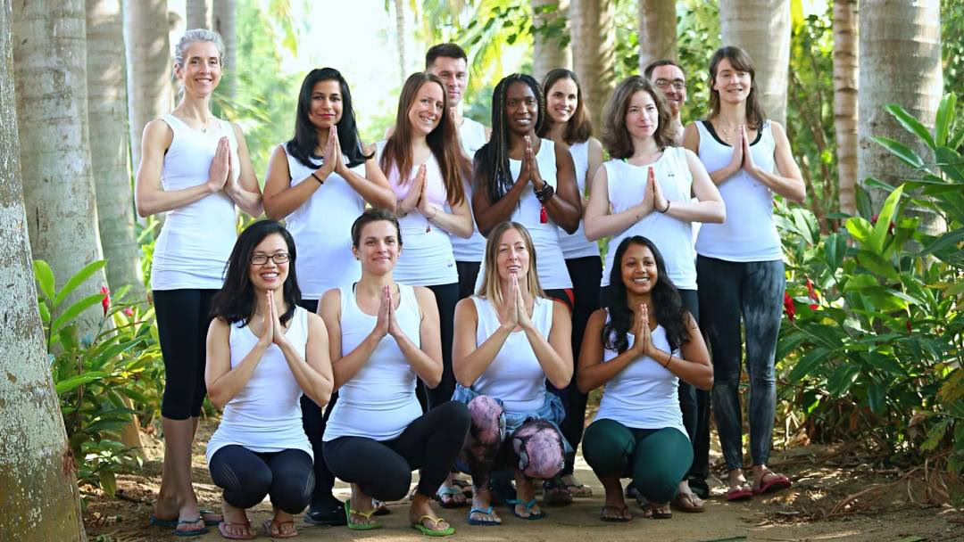 Formation de professeurs de yoga Vinyasa - juillet 2026