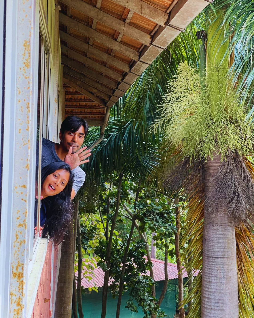 Formation de professeur de yoga Vinyasa - Novembre 2026