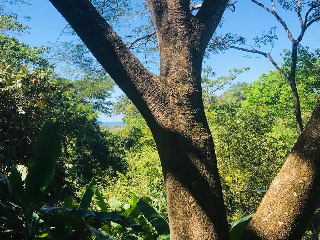 Se détendre, se réinitialiser et se ressourcer au Costa Rica
