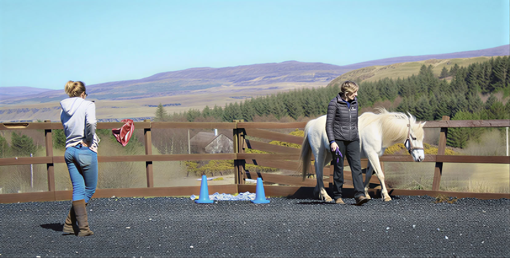 Coaching thérapeutique assisté par les chevaux